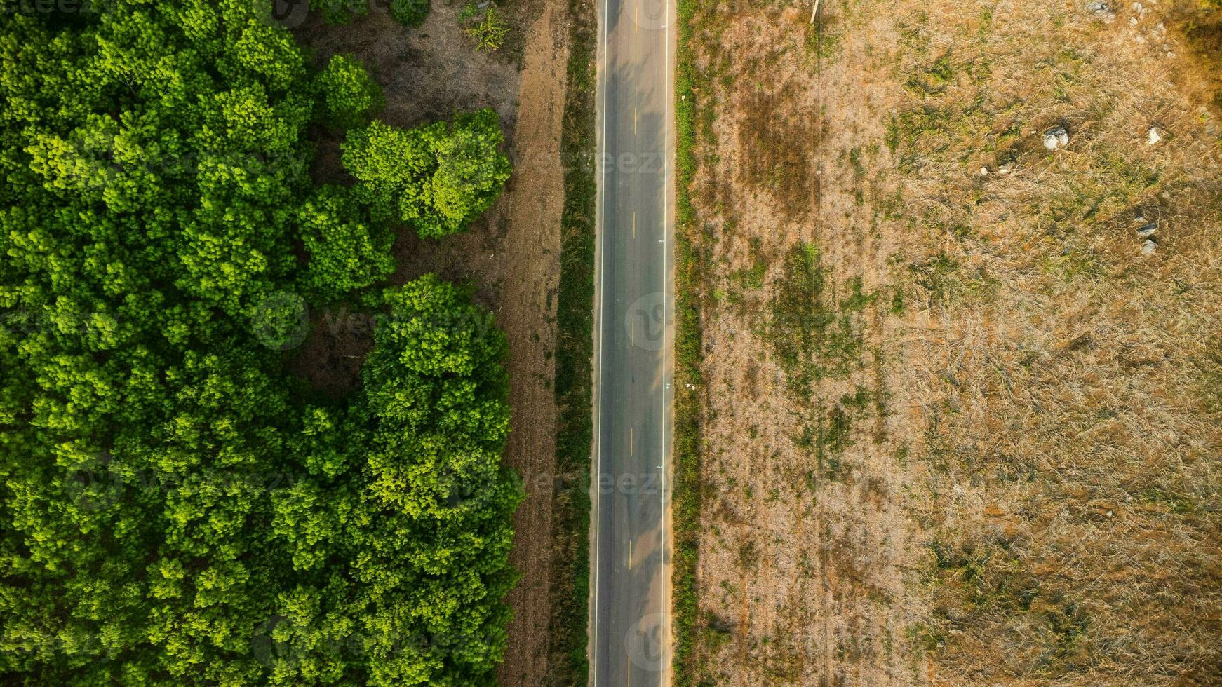 aérien vue de une route cette coupes par une luxuriant forêt, sur le autre côté est un zone détruit par humains pour cultivation de Montagne cultures. zones avec dense smog et couvert avec pm2.5. air la pollution photo