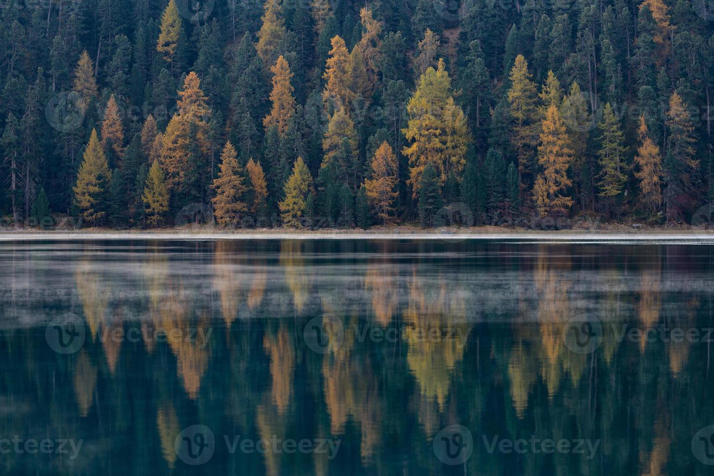 la forêt d'automne se reflète dans le lac photo