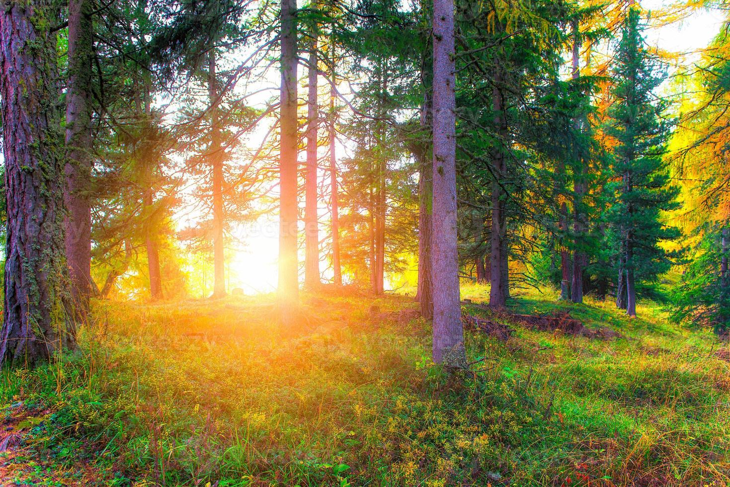 soleil d'automne sur les alpes suisses photo