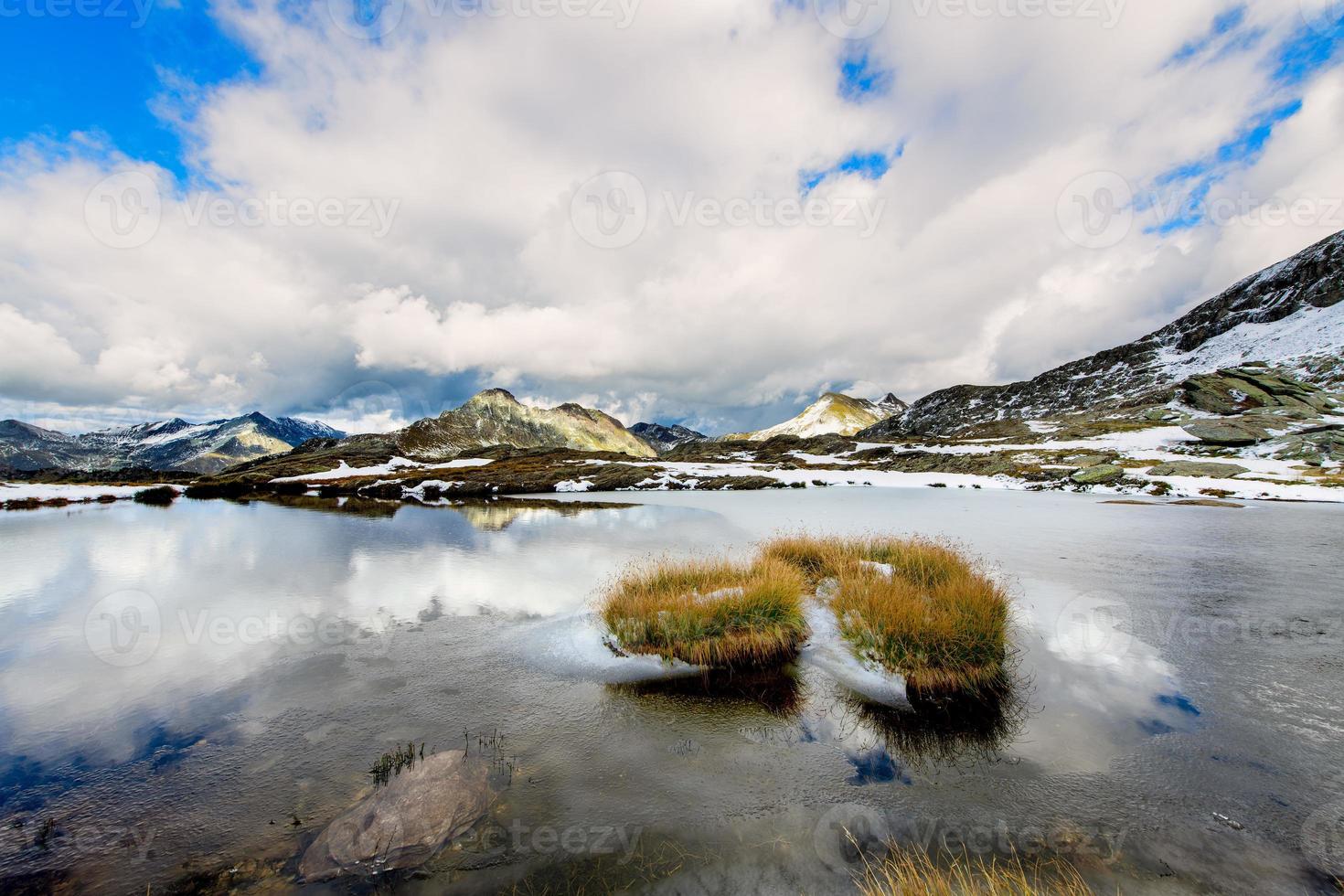 brins d'herbe à l'intérieur du petit lac alpin photo