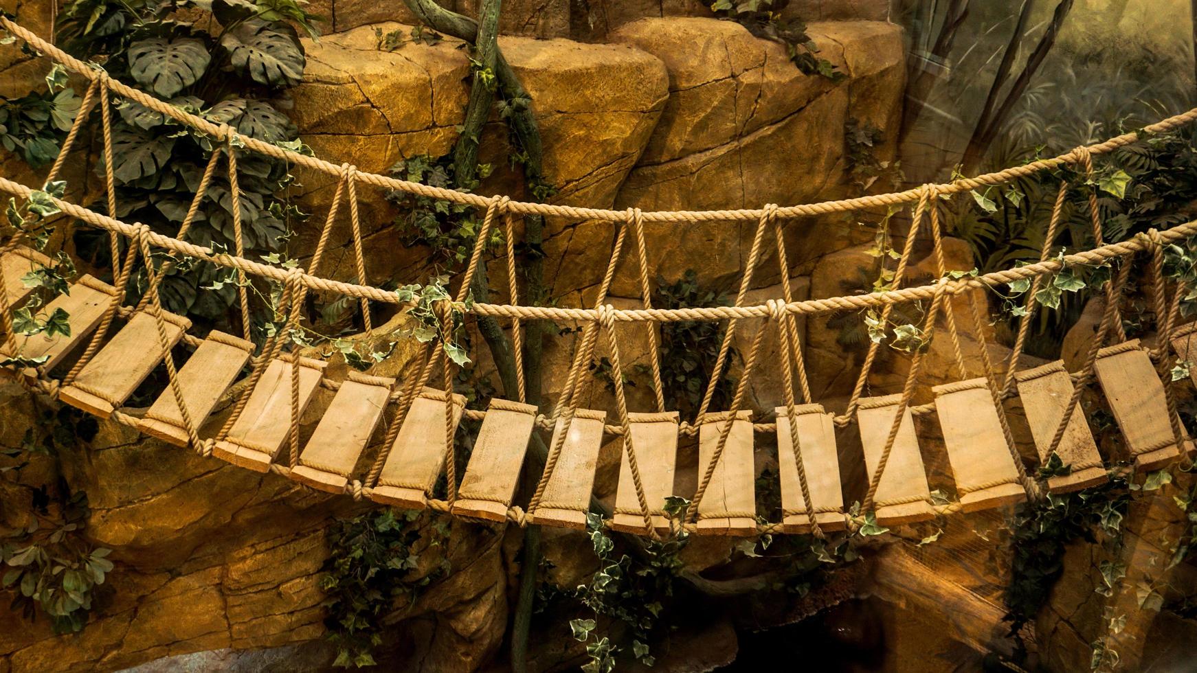 Pont suspendu de corde en bois d'aventure dans la forêt tropicale de la jungle photo