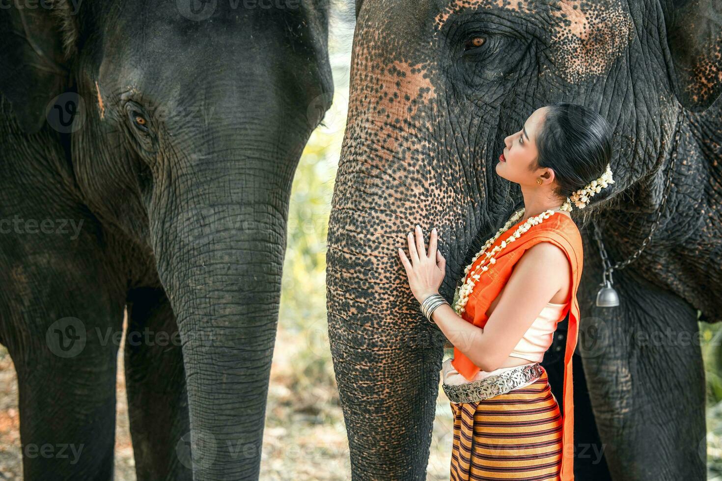 thaïlandais Dame magnifique pansement traditionnel nord style avec éléphants représenter relation entre asiatique gens et l'éléphant photo