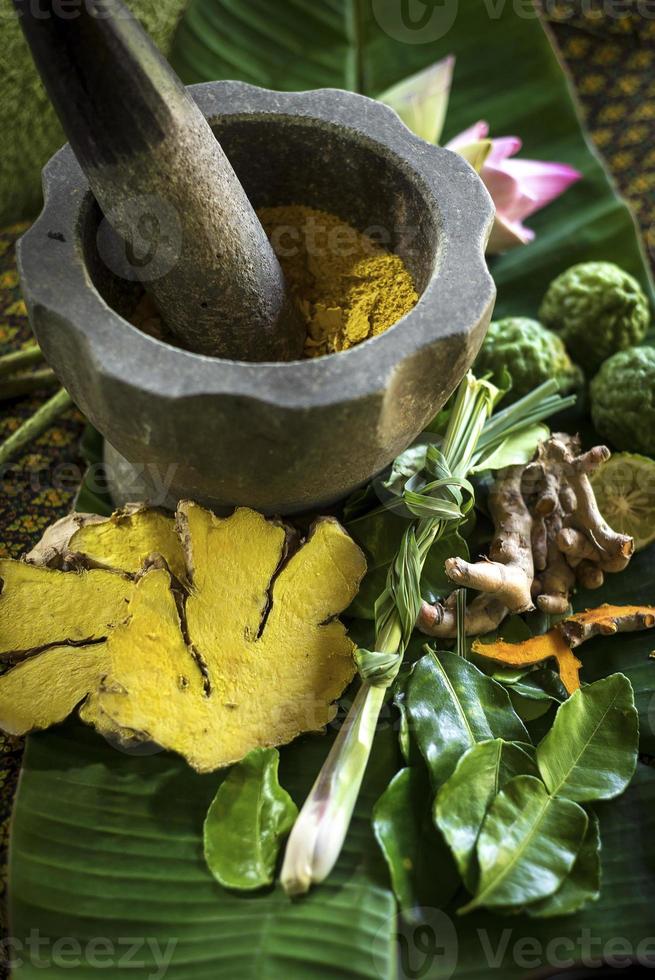 détail des produits biologiques tropicaux exotiques naturels dans un spa de beauté asiatique photo