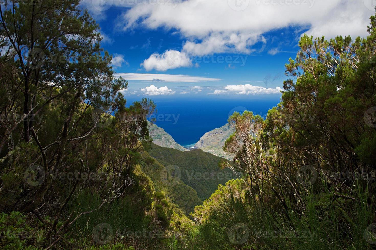 paysage avec montagnes et océan photo