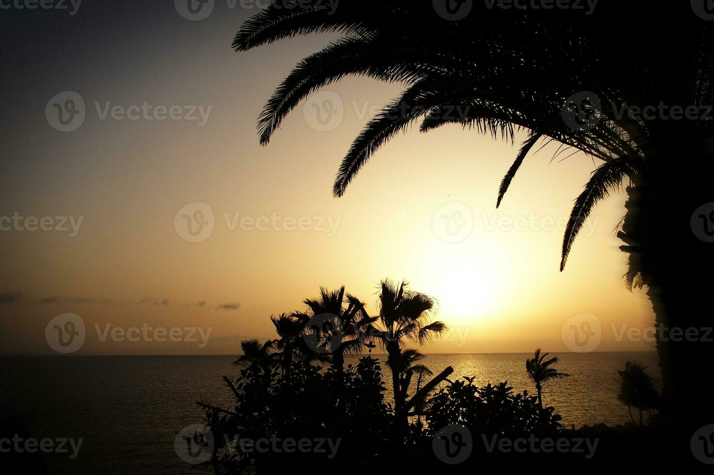 pittoresque océan paysage avec le réglage Soleil dans une tropical pays pendant été vacances avec paume photo