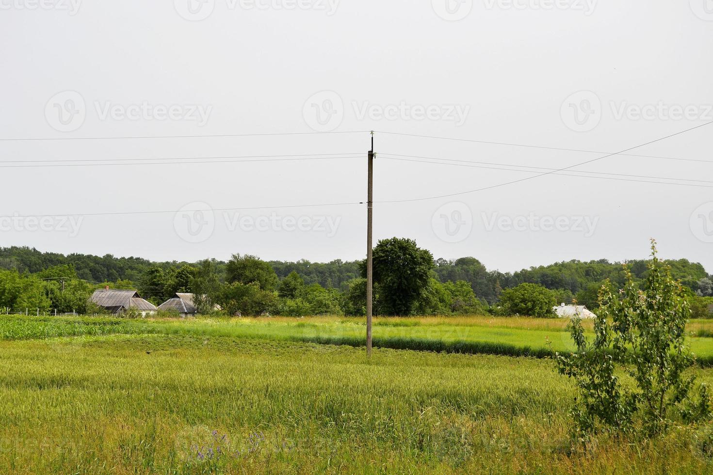 beau paysage d'horizon dans la prairie du village photo