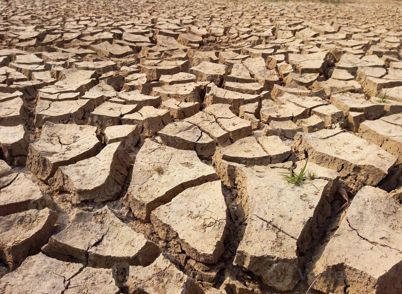 terre craquelée texturée photo