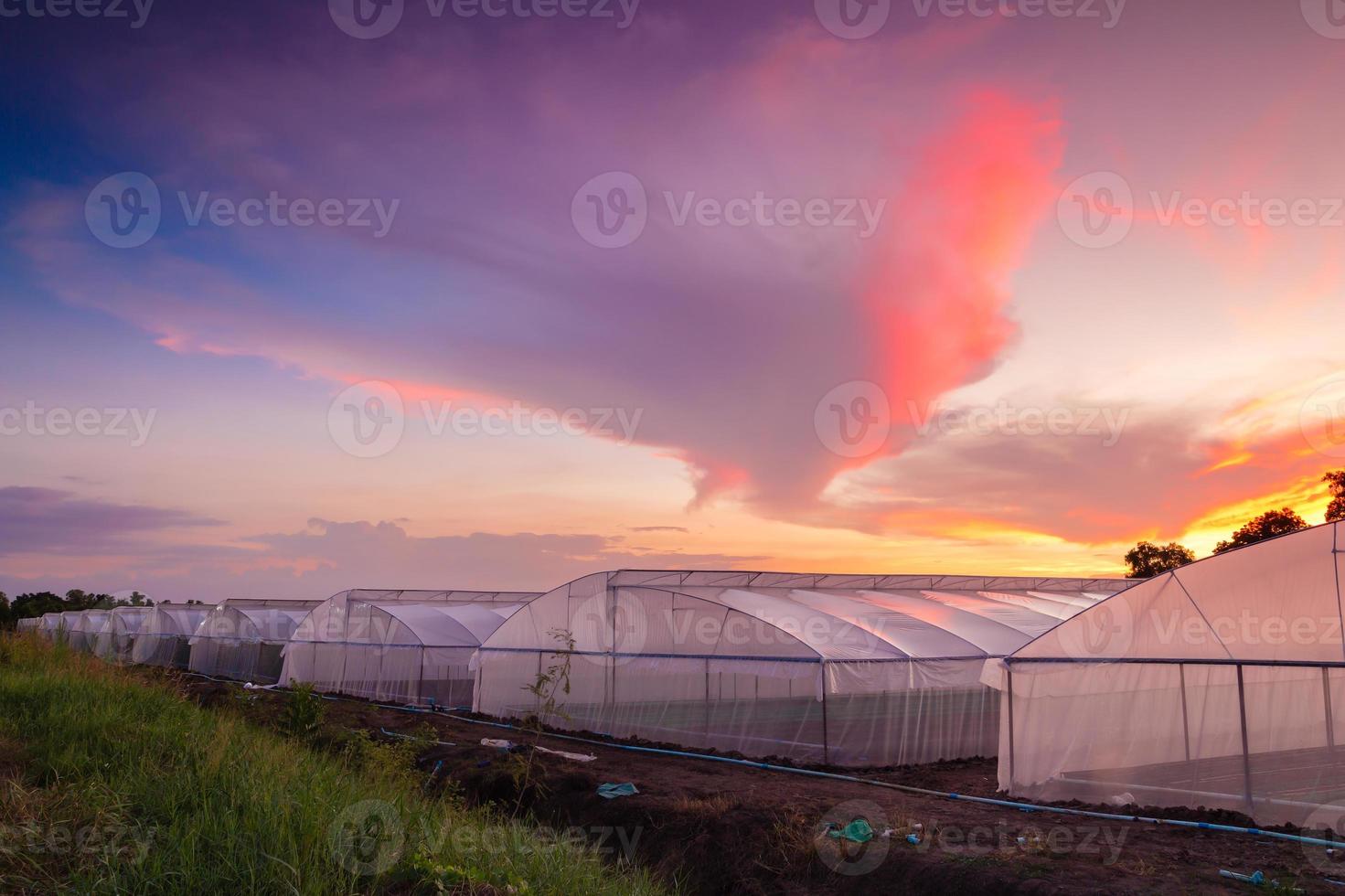 maison verte dans la ferme au beau coucher de soleil photo