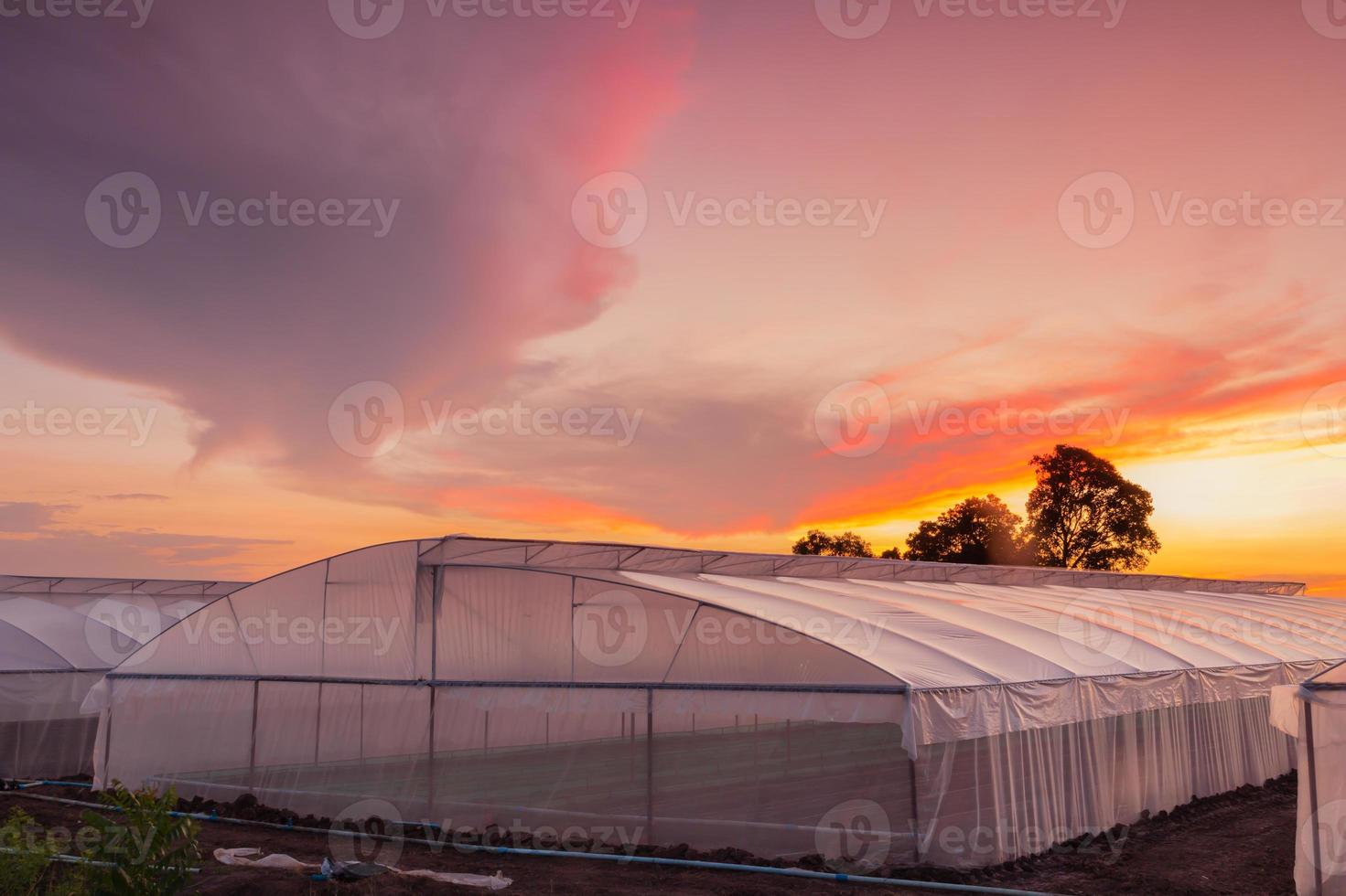 maison verte dans la ferme au beau coucher de soleil photo