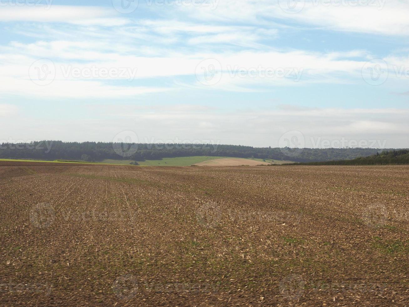panorama du pays anglais à salisbury photo