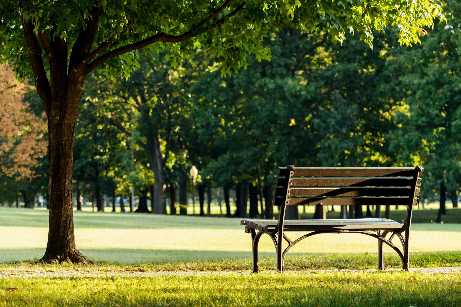 un banc au parc. photo