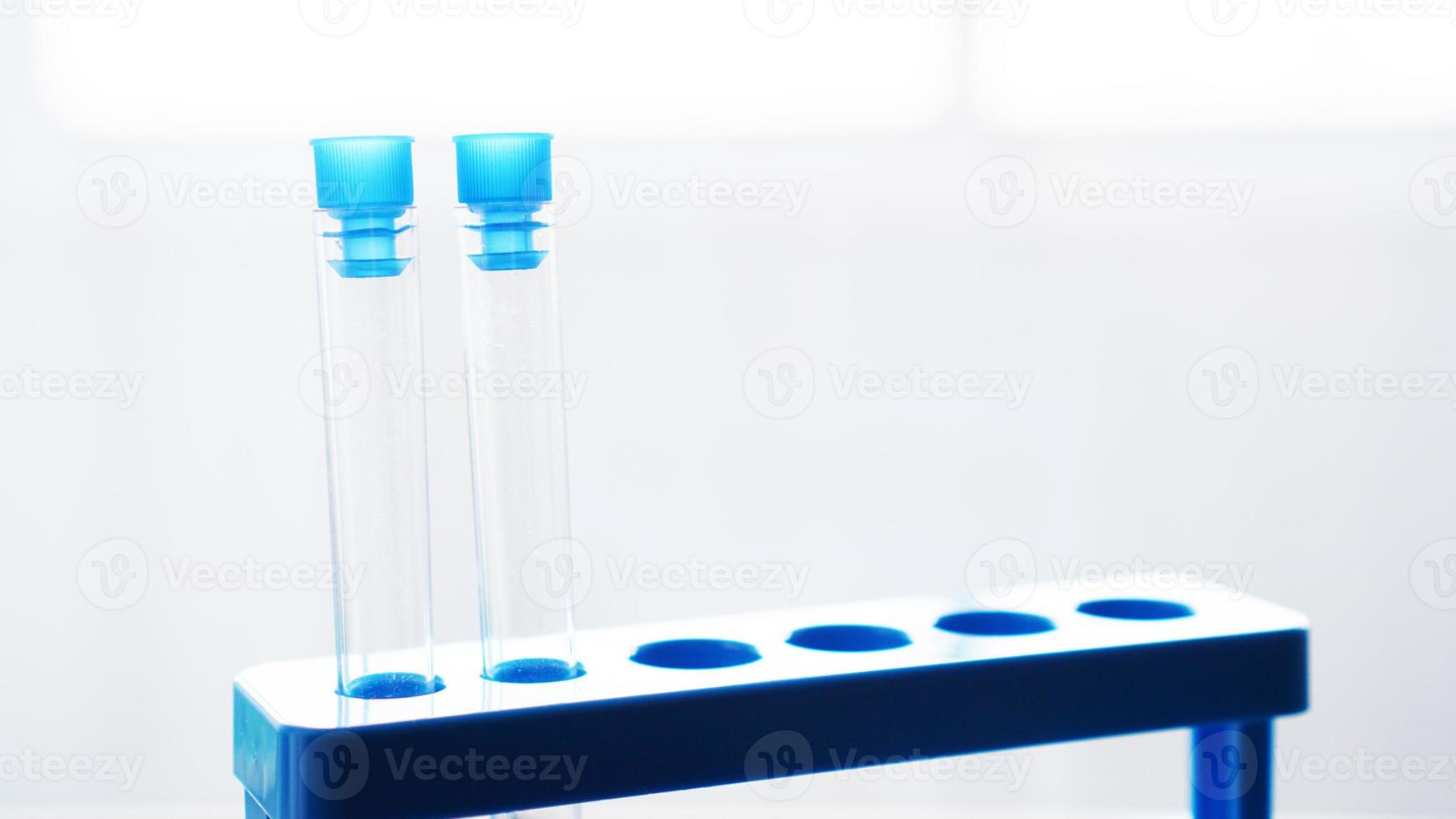 tubes à essai sur un support bleu sur fond gris flou photo