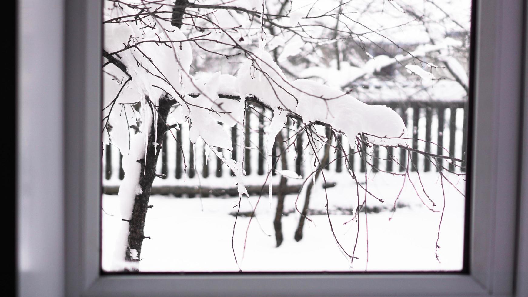 paysage d'hiver vu à travers la fenêtre photo
