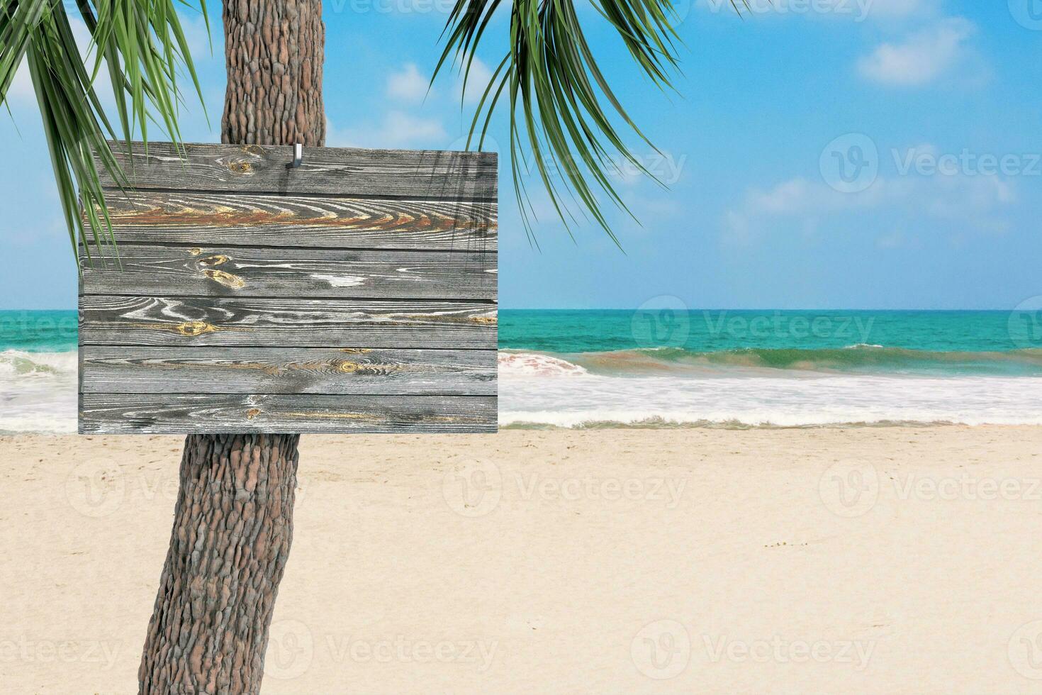 en bois planche panneau d'affichage avec copie espace pendaison sur une paume arbre sur un le sable plage. 3d le rendu photo