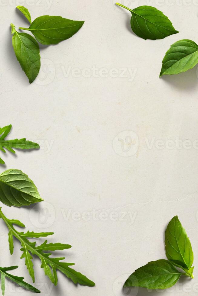 art italien cuisine arrière-plan, vieux parchemin avec Frais feuilles basilic et Roquette photo