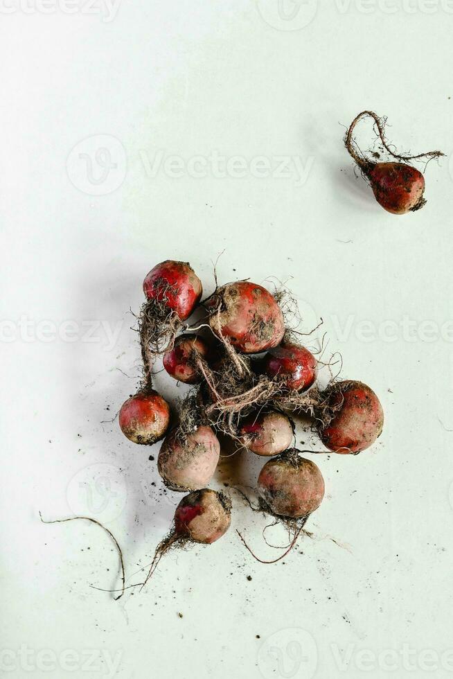bouquet de rouge un radis avec les racines sur blanc arrière-plan, Haut vue photo