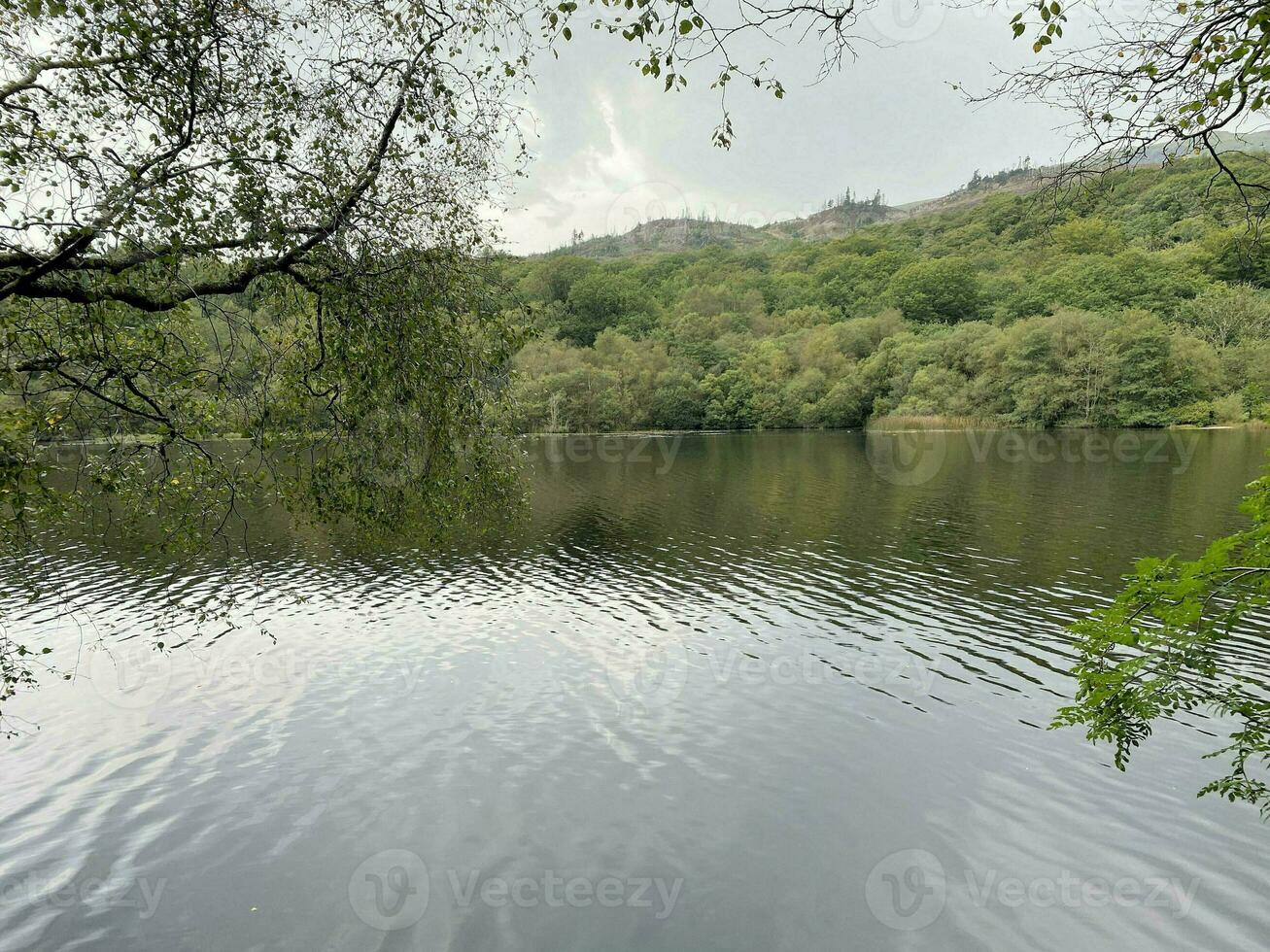 une vue de le Nord Pays de Galles campagne près llyn mawr dans Snowdonia photo