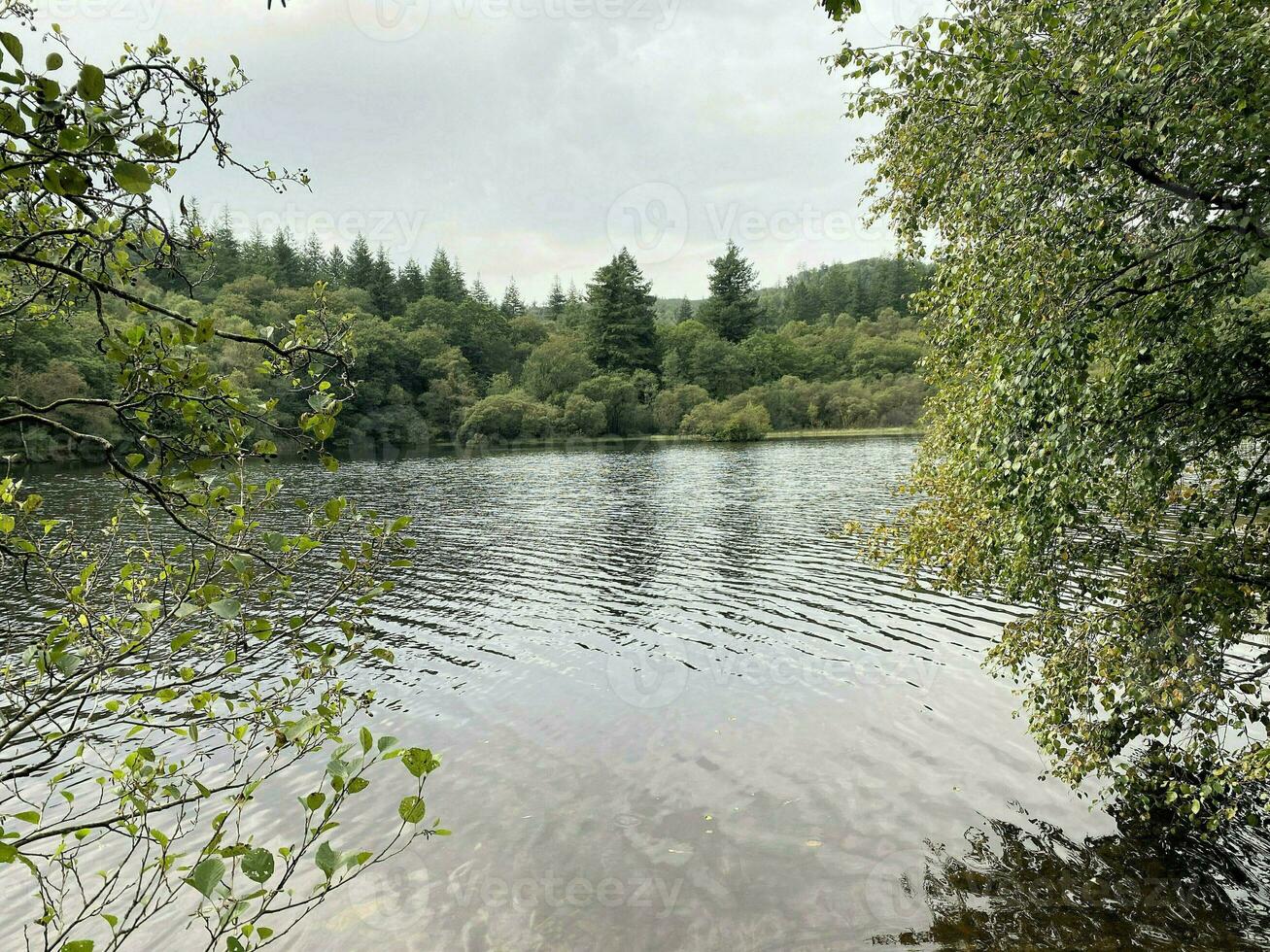 une vue de le Nord Pays de Galles campagne près llyn mawr dans Snowdonia photo