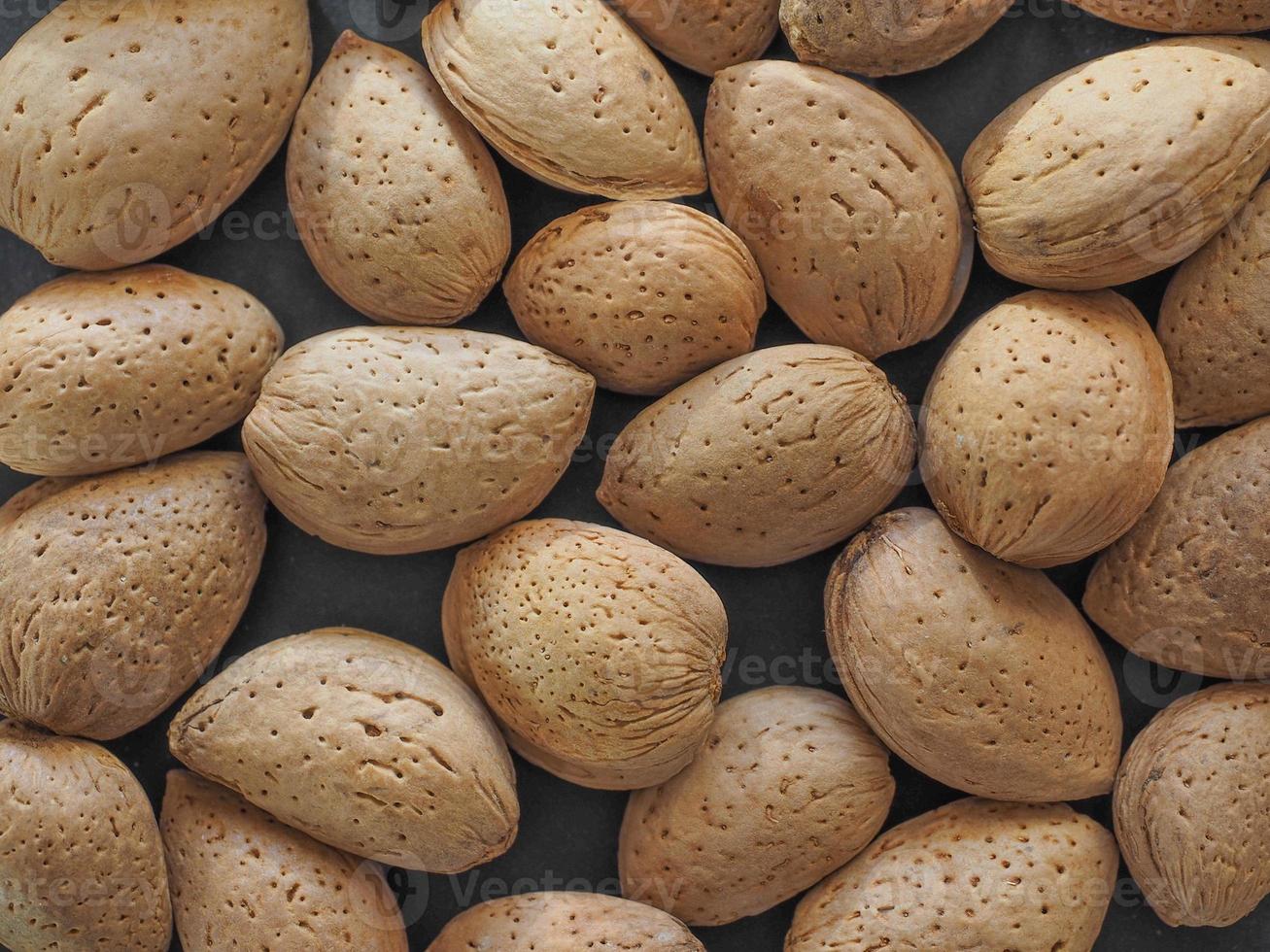 amandes séchées photo