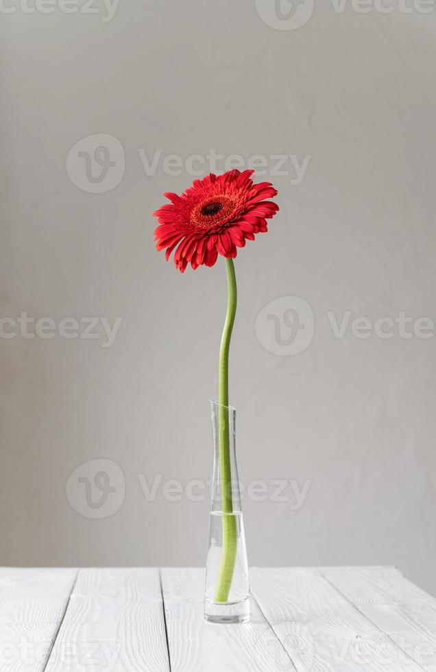 Daisy gerbera lumineux dans un vase sur la table photo