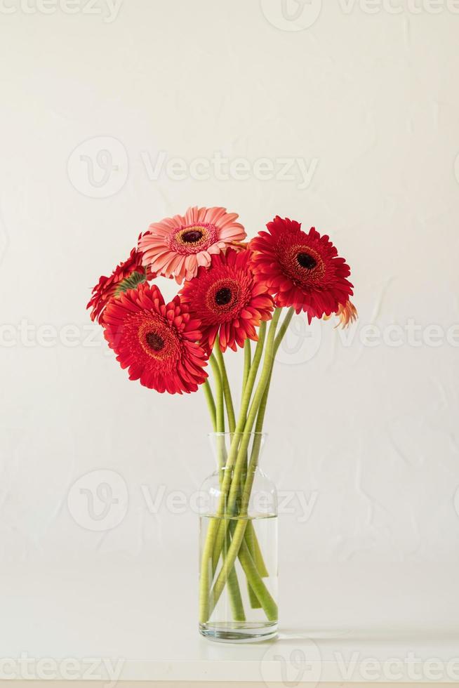 Marguerites gerbera lumineuses dans un vase blanc sur la table photo