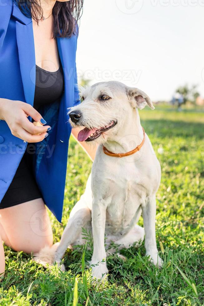 belle jeune femme assise dans l'herbe serrant son chien dans le parc photo