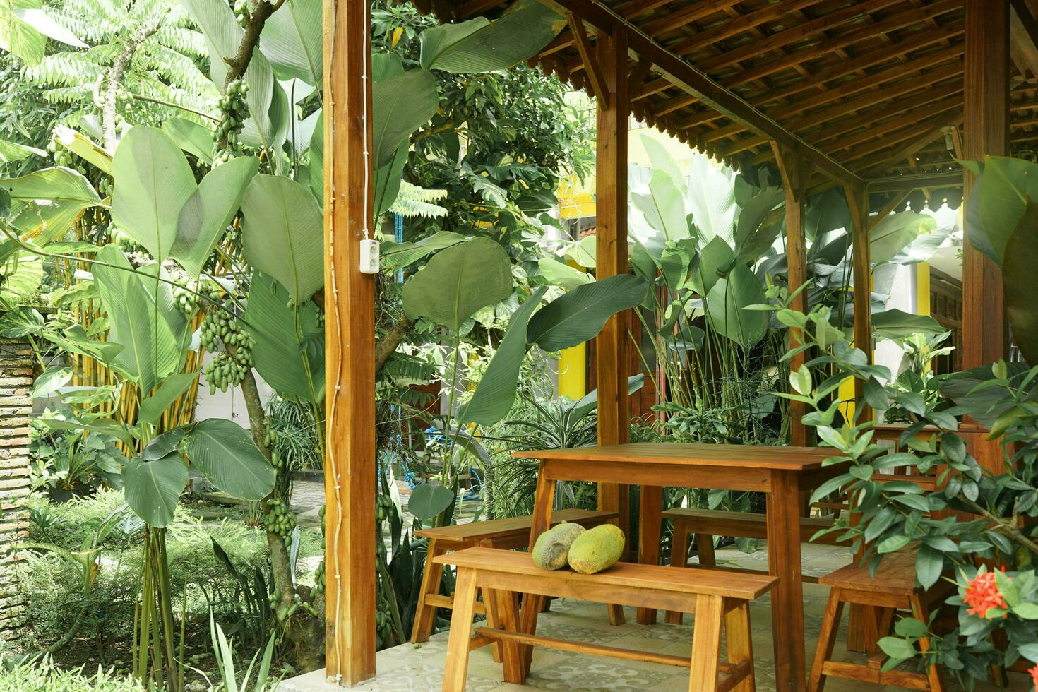 Accueil arrière-cour jardin avec meubles et vert les plantes sur une chaud été journée photo