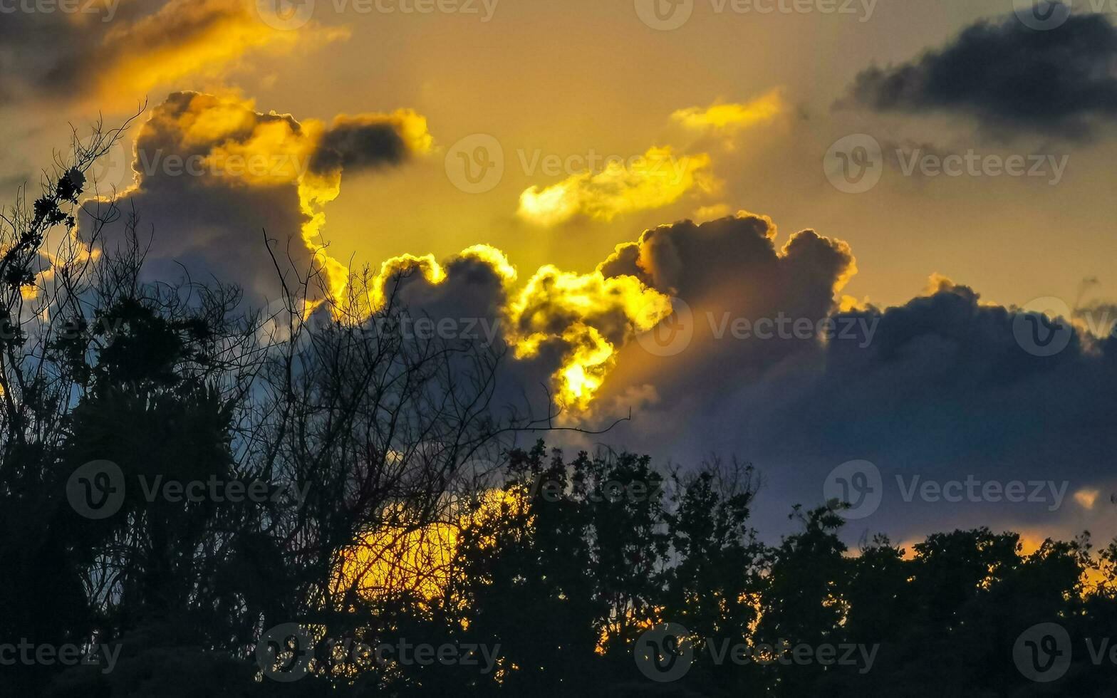 coloré d'or le coucher du soleil lever du soleil tropical Caraïbes paume des arbres des nuages Mexique. photo