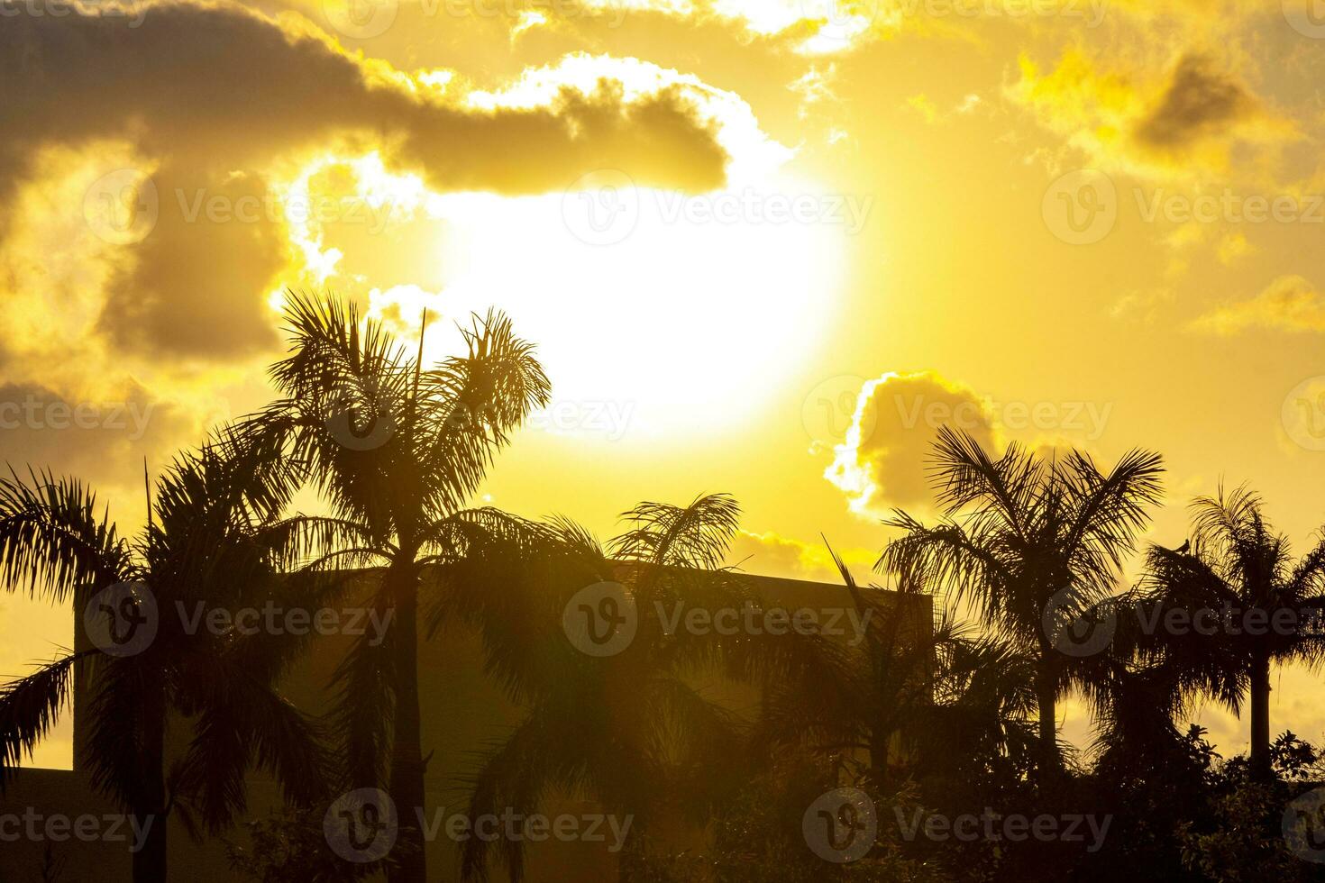 coloré d'or le coucher du soleil lever du soleil tropical Caraïbes paume des arbres des nuages Mexique. photo