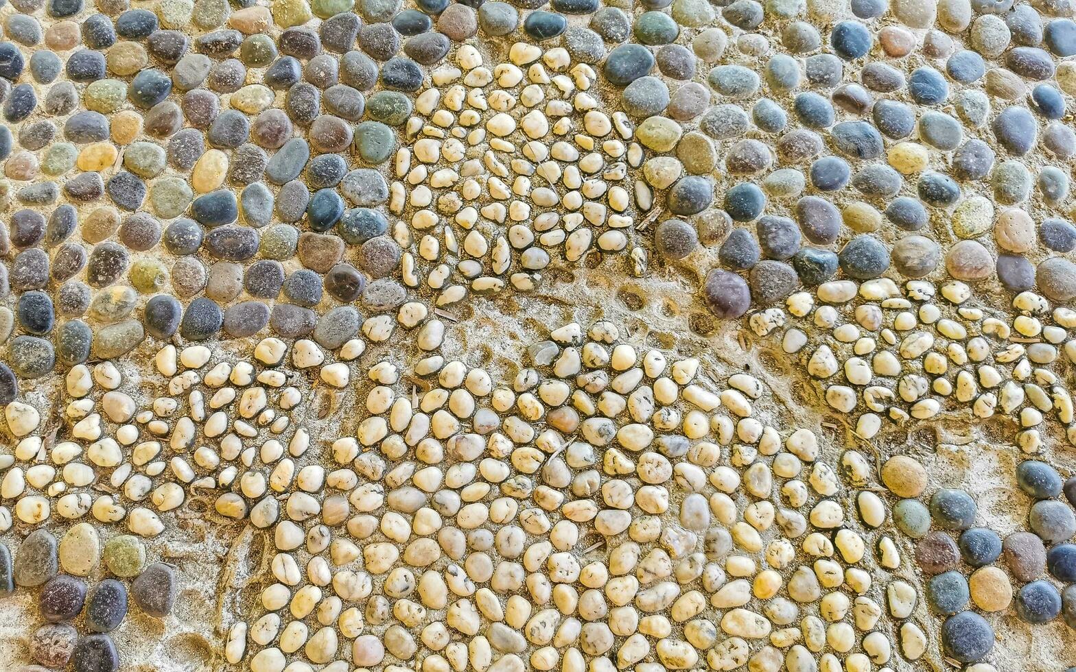 texture détail de mur avec mer tortue rochers des pierres Mexique. photo