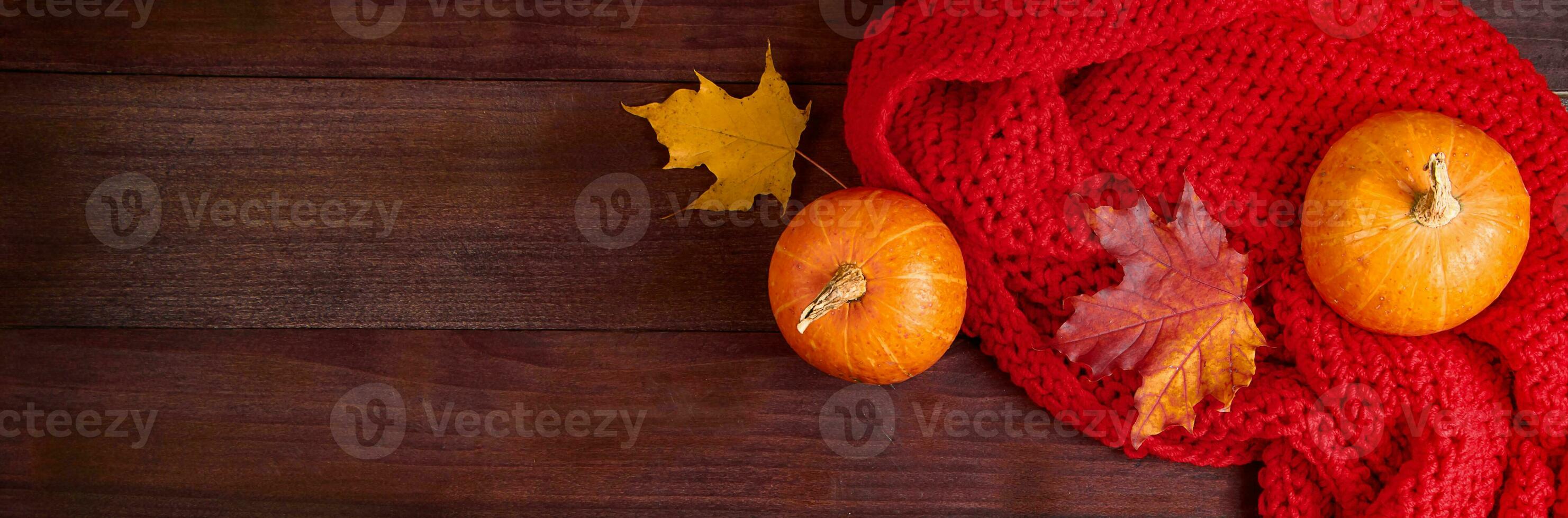 l'automne plat poser. mûr citrouilles, déchue feuilles et rouge chaud écharpe sur en bois Contexte. récolte et action de grâces concept. photo