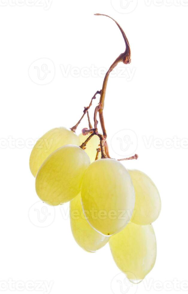 une petit magnifique bouquet de mûr vert les raisins isolé sur une blanc Contexte. photo