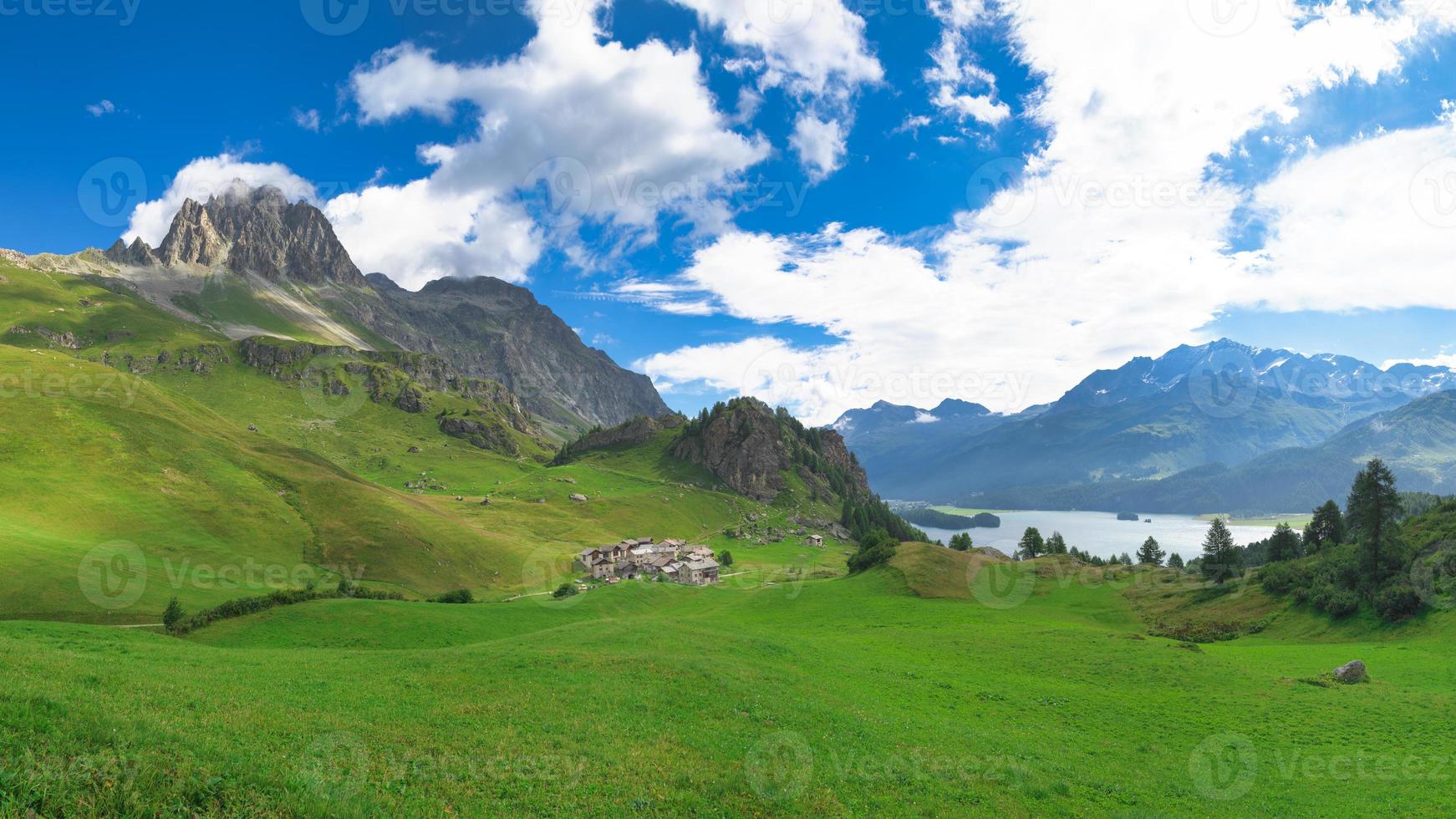 Avis de grevasalvas dans la vallée de l'engadine sur les alpes suisses photo