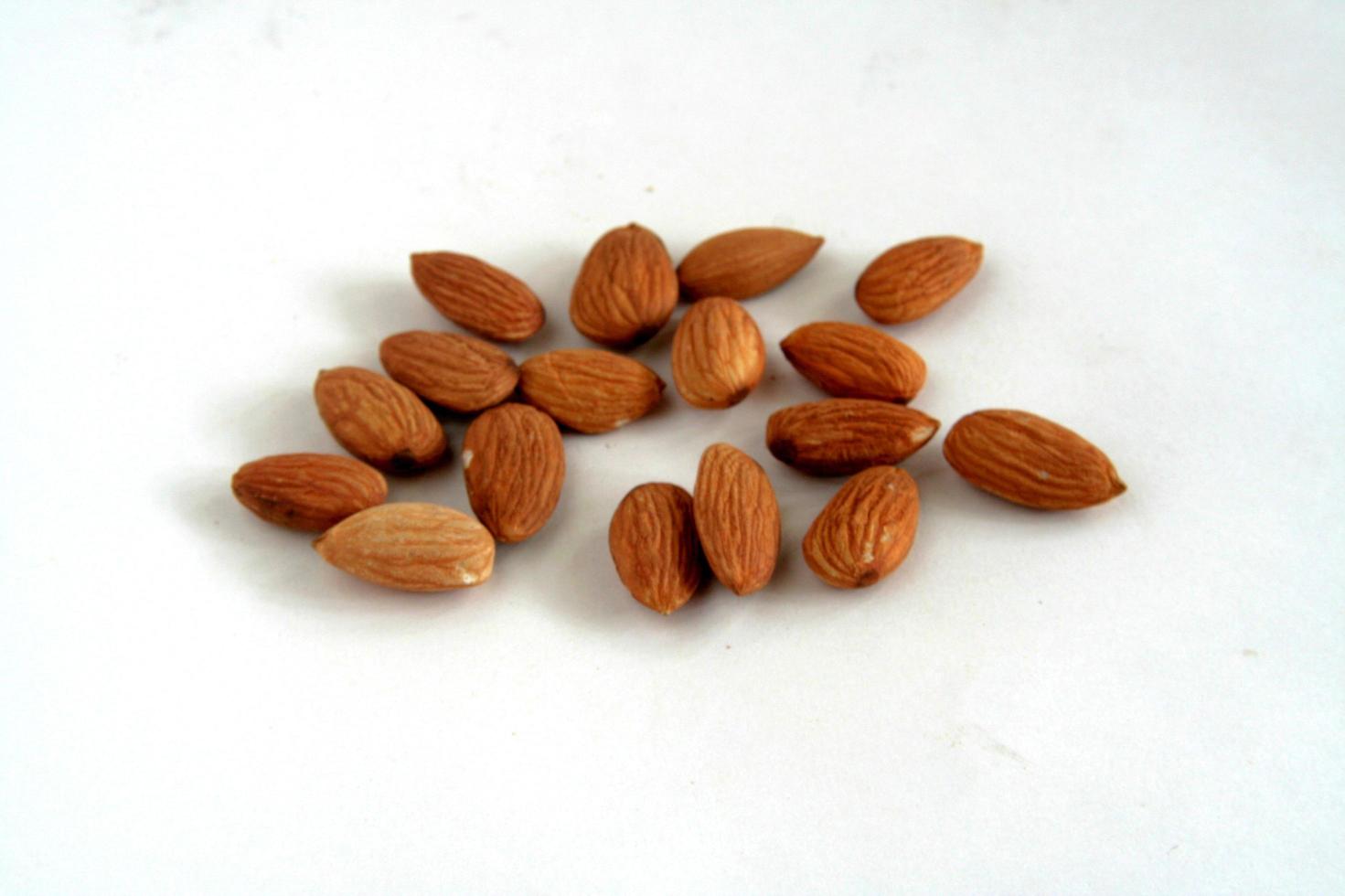 amandes pour la santé photo