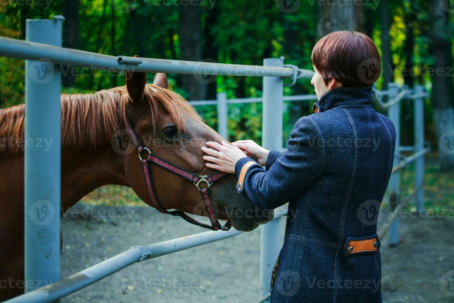 le fille premier vu le cheval. le cheval touché le sien nez à le femme palmier. photo