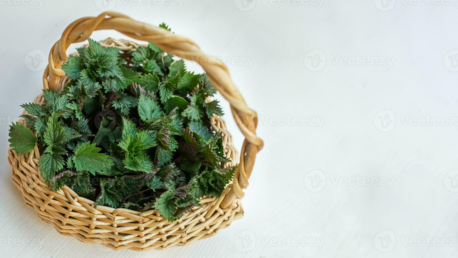 collecté dans un écologiquement amical endroit orties. ortie buisson dans une osier panier comme cœur. endroit pour texte. copie espace photo