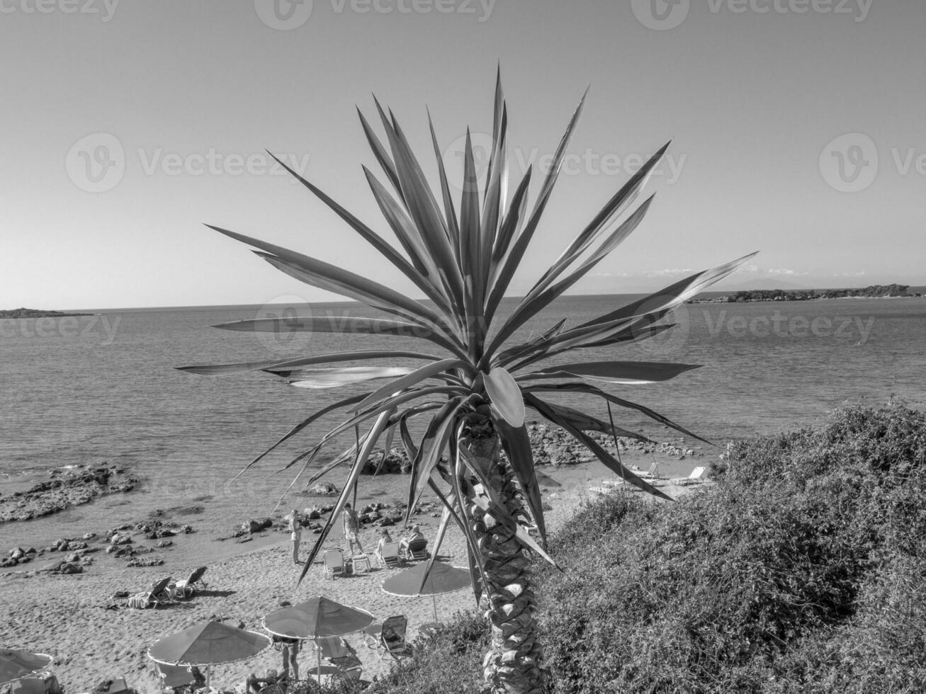 katakolon en grèce photo