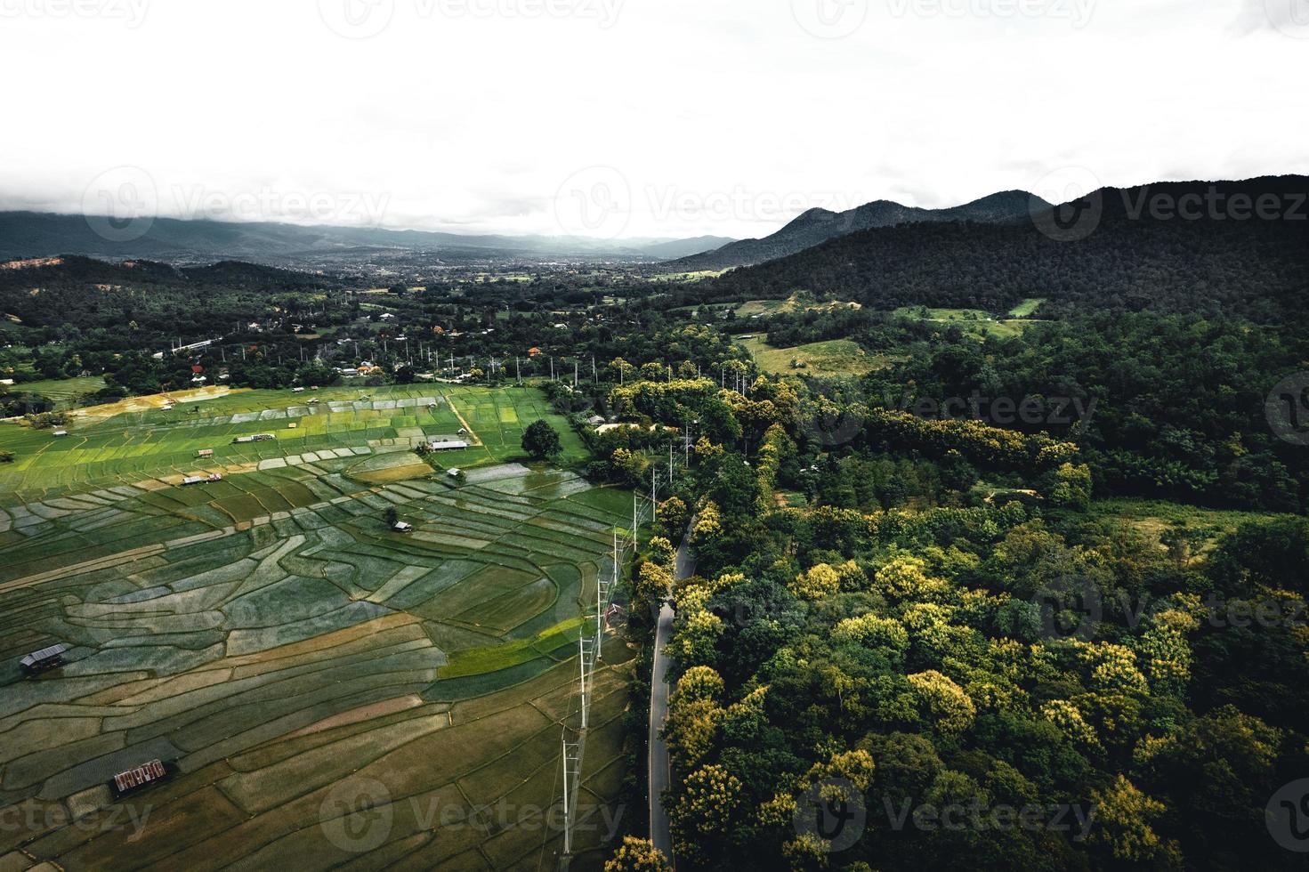 paysage rizière paddy en asie, vue aérienne des rizières photo