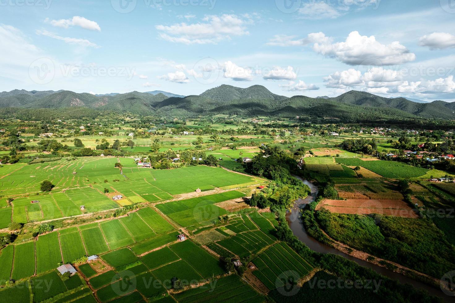 paysage rizière paddy en asie, vue aérienne des rizières photo