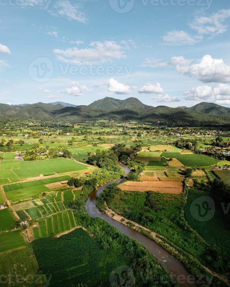 paysage rizière paddy en asie, vue aérienne des rizières photo