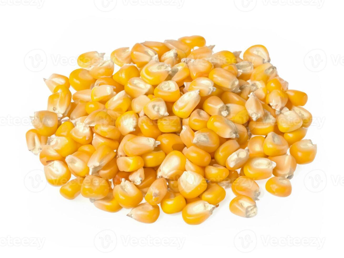 tas de blé graines isolé sur blanc Contexte photo