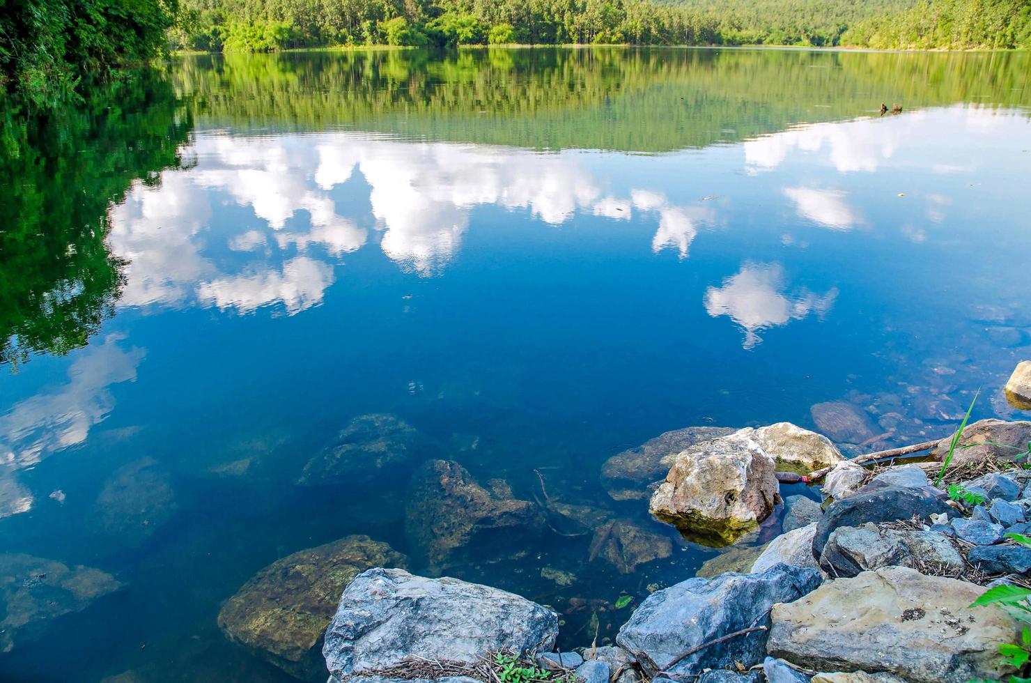 paysage du barrage et du lac sur la montagne avec arbre et forêt. photo