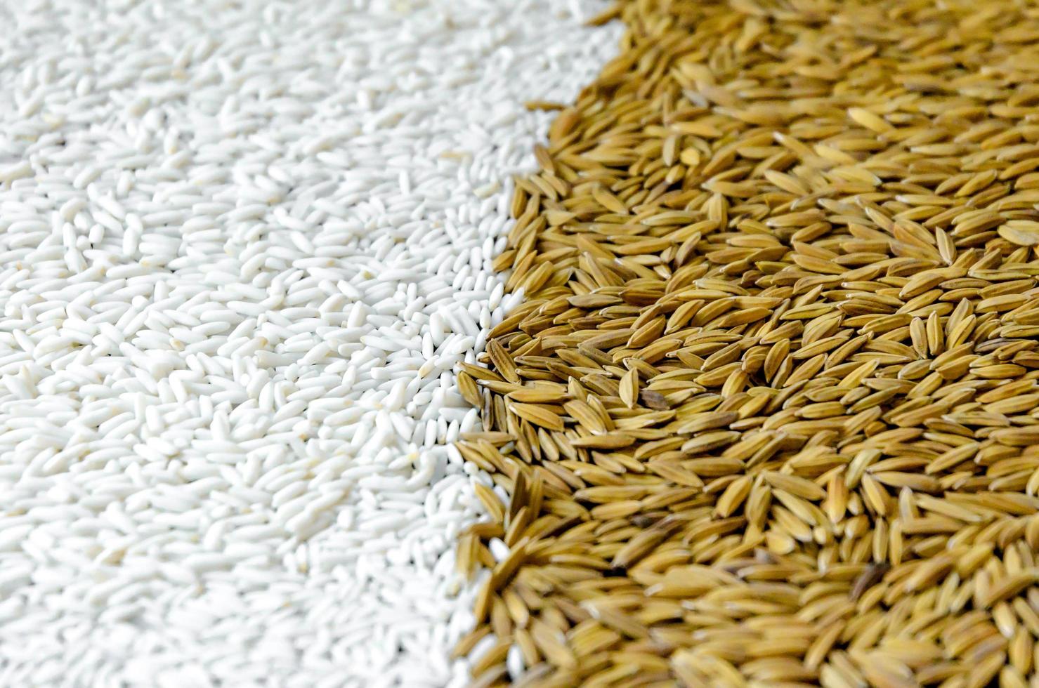 vue de dessus riz paddy et graines de riz, brun de grain de riz et tas de riz. photo