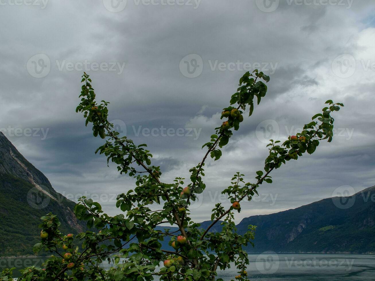 navire croisière dans Norvège photo