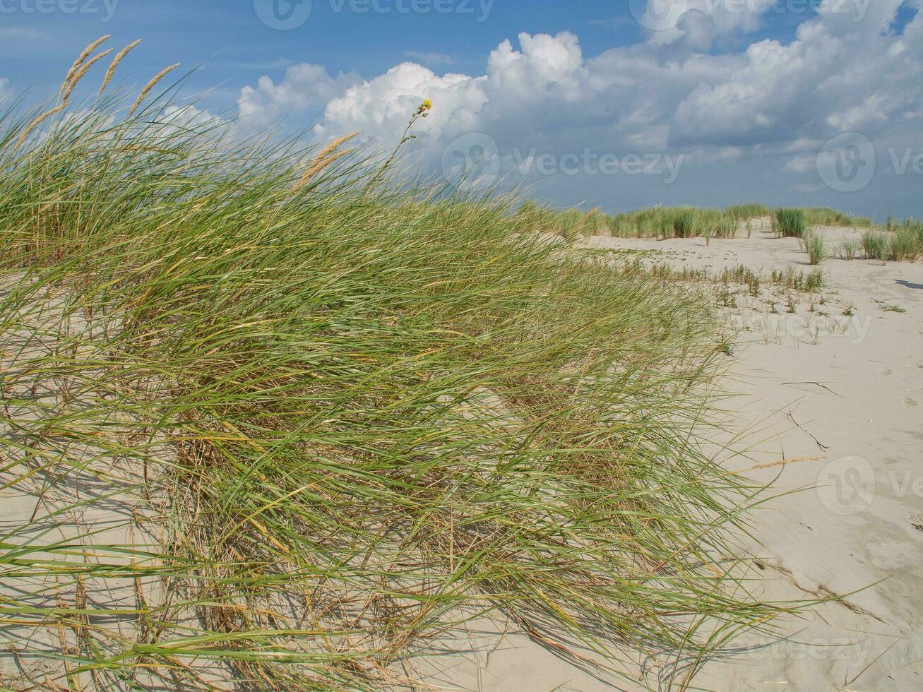 le plage de Spiekeroog photo