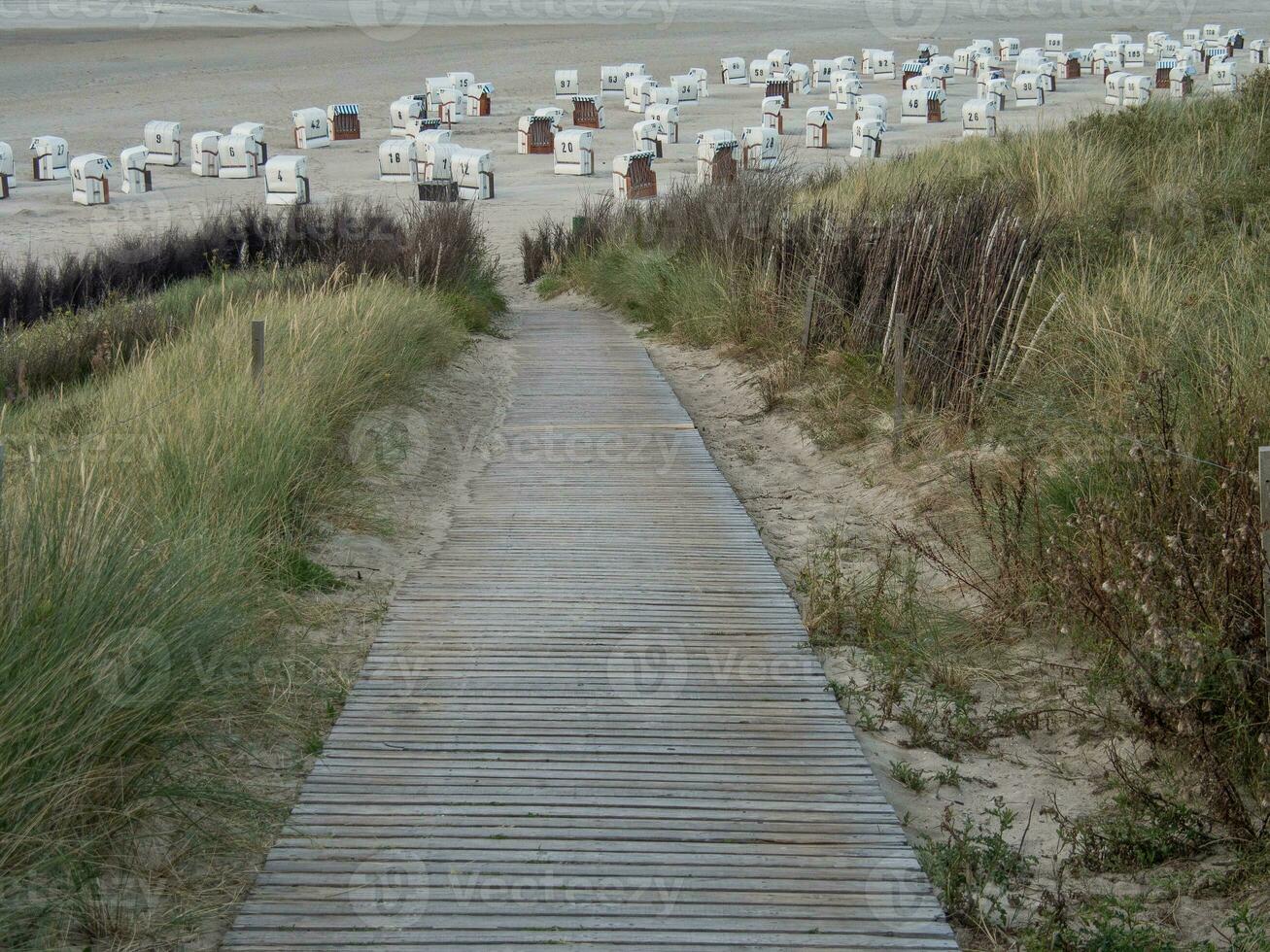 l'île de Spiekeroog photo