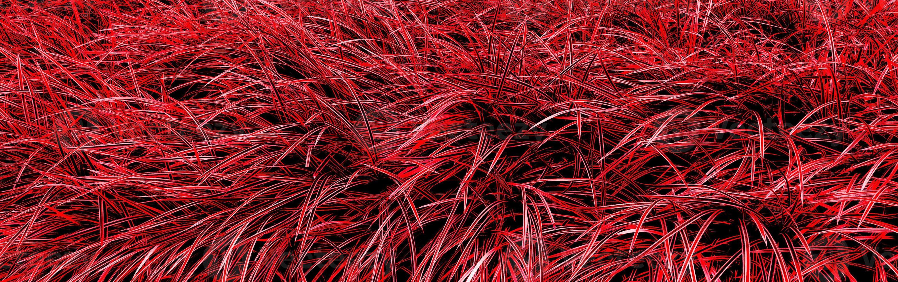 fond de texture d'herbe rouge photo