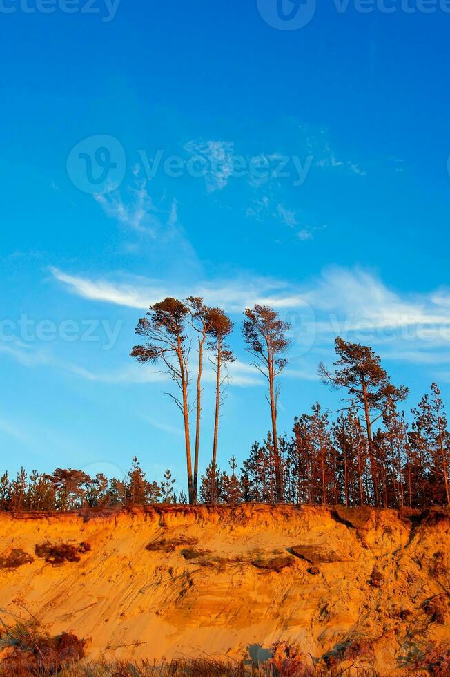 Baltique mer paysage photo