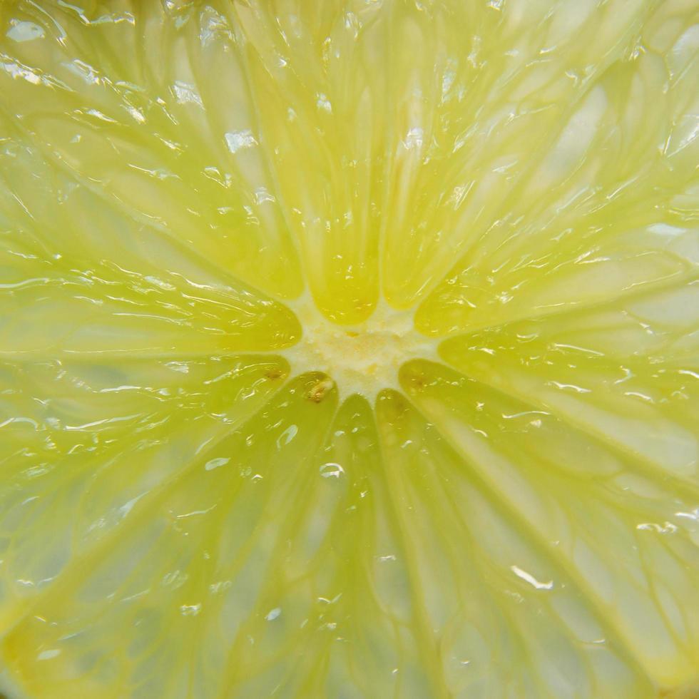 gros plan d'une tranche de citron et de citron vert et d'agrumes frais. photo