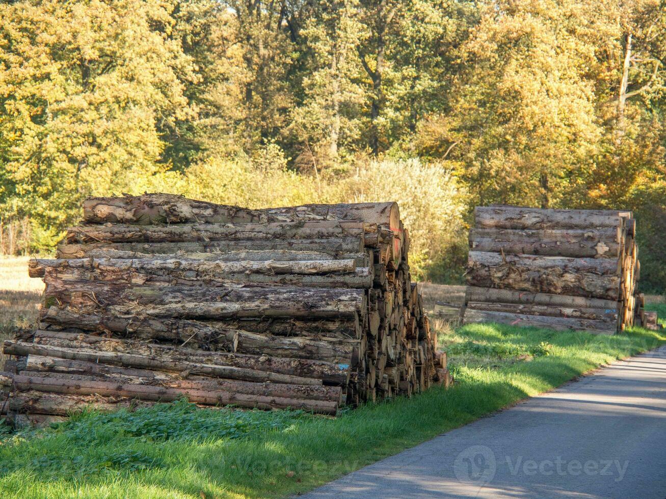 l'automne heure dans le allemand muensterland photo